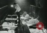 Image le traitement de l'engrais l'Europe, 1945, de la seconde 35 séquences d'archives historiques vidéo 65675062742