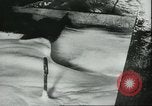 Image le traitement de l'engrais l'Europe, 1945, de la seconde 40 séquences d'archives historiques vidéo 65675062742