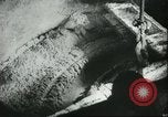 Image le traitement de l'engrais l'Europe, 1945, de la seconde 49 séquences d'archives historiques vidéo 65675062742