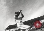 Image of Boston Red Sox Spring training Florida United States USA, 1950, second 24 stock footage video 65675062749