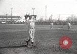 Image of St Louis Browns baseball team at spring training United States USA, 1950, second 28 stock footage video 65675062752