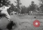 Image of Chicago White Sox Spring Training Florida United States USA, 1950, second 17 stock footage video 65675062755