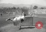 Image of Chicago White Sox Spring Training Florida United States USA, 1950, second 35 stock footage video 65675062755