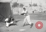Image of Chicago White Sox Spring Training Florida United States USA, 1950, second 45 stock footage video 65675062755