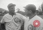 Image of Chicago Cubs baseball Spring Training Catalina Island California United States USA, 1950, second 17 stock footage video 65675062756