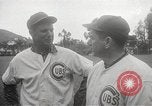 Image of Chicago Cubs baseball Spring Training Catalina Island California United States USA, 1950, second 18 stock footage video 65675062756