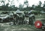 Image troupes de cavalerie de 1ère le Vietnam du Sud, 1966, de la seconde 8 séquences d'archives historiques vidéo 65675062769