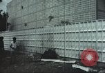 Image of Tet Offensive Saigon Vietnam, 1968, second 11 stock footage video 65675062782