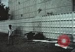 Image of Tet Offensive Saigon Vietnam, 1968, second 17 stock footage video 65675062782