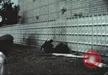 Image of Tet Offensive Saigon Vietnam, 1968, second 22 stock footage video 65675062782
