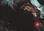 Image of Tet Offensive Saigon Vietnam, 1968, second 24 stock footage video 65675062782