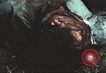 Image of Tet Offensive Saigon Vietnam, 1968, second 25 stock footage video 65675062782