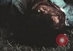 Image of Tet Offensive Saigon Vietnam, 1968, second 26 stock footage video 65675062782