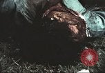 Image of Tet Offensive Saigon Vietnam, 1968, second 33 stock footage video 65675062782