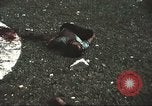 Image of Tet Offensive Saigon Vietnam, 1968, second 35 stock footage video 65675062782