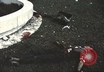 Image of Tet Offensive Saigon Vietnam, 1968, second 42 stock footage video 65675062782