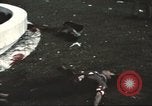 Image of Tet Offensive Saigon Vietnam, 1968, second 45 stock footage video 65675062782
