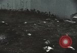 Image of Tet Offensive Saigon Vietnam, 1968, second 48 stock footage video 65675062782