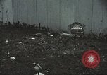 Image of Tet Offensive Saigon Vietnam, 1968, second 51 stock footage video 65675062782