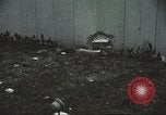 Image of Tet Offensive Saigon Vietnam, 1968, second 53 stock footage video 65675062782