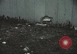 Image of Tet Offensive Saigon Vietnam, 1968, second 55 stock footage video 65675062782