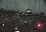 Image of Tet Offensive Saigon Vietnam, 1968, second 57 stock footage video 65675062782