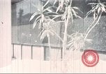 Image of Tet Offensive Saigon Vietnam, 1968, second 3 stock footage video 65675062785
