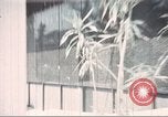 Image of Tet Offensive Saigon Vietnam, 1968, second 4 stock footage video 65675062785
