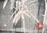 Image of Tet Offensive Saigon Vietnam, 1968, second 7 stock footage video 65675062785
