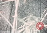Image of Tet Offensive Saigon Vietnam, 1968, second 8 stock footage video 65675062785