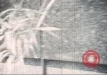 Image of Tet Offensive Saigon Vietnam, 1968, second 14 stock footage video 65675062785