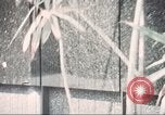 Image of Tet Offensive Saigon Vietnam, 1968, second 15 stock footage video 65675062785