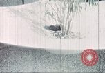Image of Tet Offensive Saigon Vietnam, 1968, second 48 stock footage video 65675062785