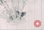 Image of Tet Offensive Saigon Vietnam, 1968, second 52 stock footage video 65675062785