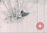 Image of Tet Offensive Saigon Vietnam, 1968, second 56 stock footage video 65675062785