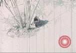 Image of Tet Offensive Saigon Vietnam, 1968, second 57 stock footage video 65675062785