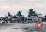 Image of Tet Offensive Saigon Vietnam, 1968, second 42 stock footage video 65675062787