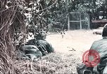 Image of Tet Offensive Saigon Vietnam, 1968, second 8 stock footage video 65675062789