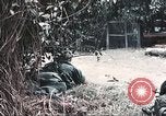 Image of Tet Offensive Saigon Vietnam, 1968, second 9 stock footage video 65675062789