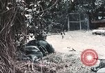 Image of Tet Offensive Saigon Vietnam, 1968, second 10 stock footage video 65675062789