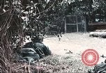 Image of Tet Offensive Saigon Vietnam, 1968, second 11 stock footage video 65675062789