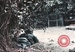 Image of Tet Offensive Saigon Vietnam, 1968, second 15 stock footage video 65675062789