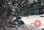 Image of Tet Offensive Saigon Vietnam, 1968, second 17 stock footage video 65675062789