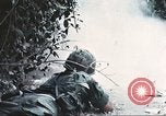 Image of Tet Offensive Saigon Vietnam, 1968, second 20 stock footage video 65675062789