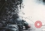 Image of Tet Offensive Saigon Vietnam, 1968, second 21 stock footage video 65675062789