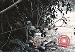 Image of Tet Offensive Saigon Vietnam, 1968, second 22 stock footage video 65675062789