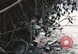 Image of Tet Offensive Saigon Vietnam, 1968, second 23 stock footage video 65675062789