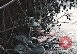 Image of Tet Offensive Saigon Vietnam, 1968, second 24 stock footage video 65675062789