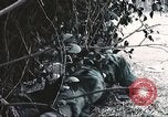 Image of Tet Offensive Saigon Vietnam, 1968, second 25 stock footage video 65675062789