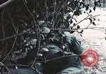 Image of Tet Offensive Saigon Vietnam, 1968, second 26 stock footage video 65675062789